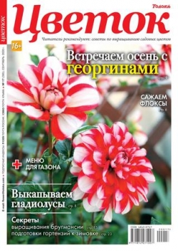 Цветок №17, сентябрь 2020