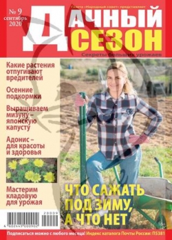 Дачный сезон №9, сентябрь 2020