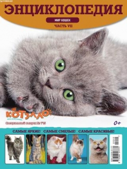 Котэлло. Спецвыпуск №1, 2015