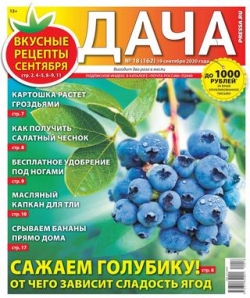 Дача №18, сентябрь 2020