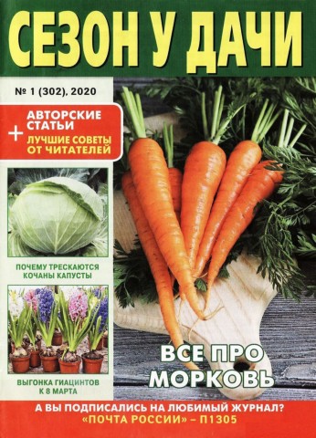 Сезон у дачи №1, январь 2020