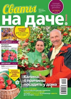 Сваты. На даче №9, сентябрь 2020