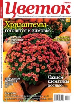 Цветок №18, сентябрь 2020