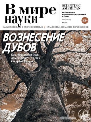 В мире науки №10, октябрь 2020