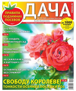 Дача №19, октябрь 2020