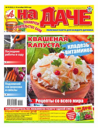 АиФ. На даче №19, октябрь 2020