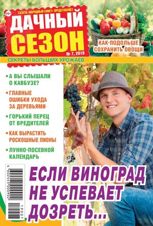 Дачный сезон №7, июль 2019