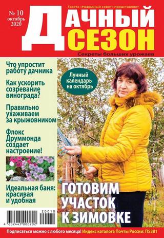 Дачный сезон №10, октябрь 2020