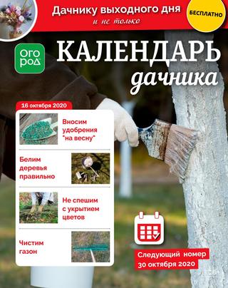 Календарь дачника №20, октябрь 2020