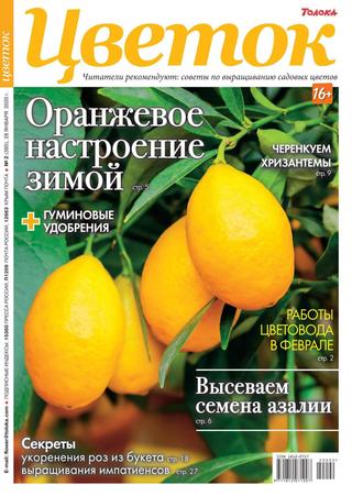 Цветок №2, январь 2020