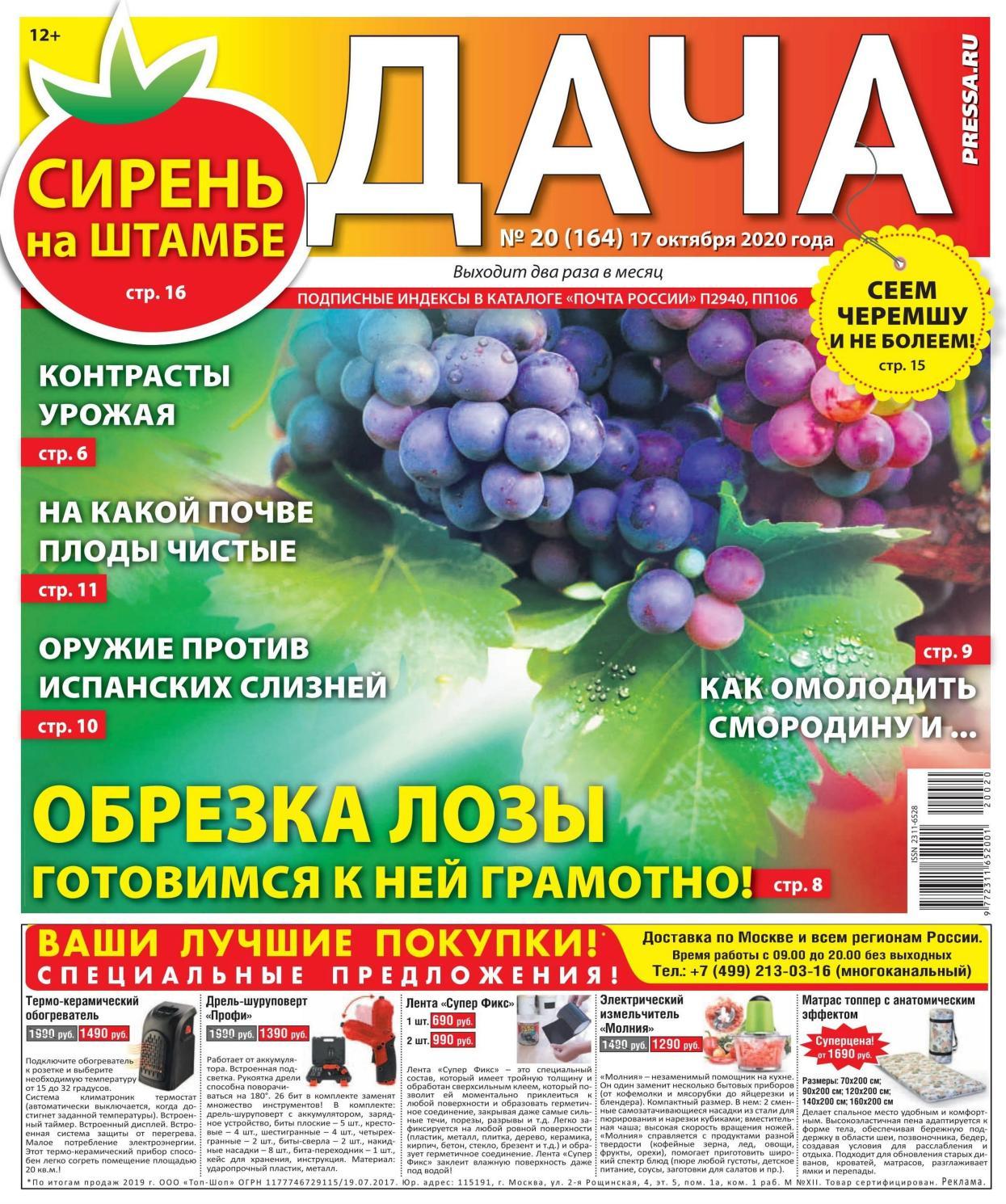 Дача №20, октябрь 2020