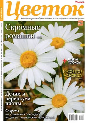 Цветок №15, август 2019