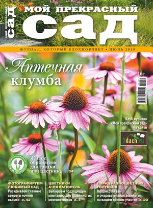 Мой прекрасный сад №6, июнь 2019