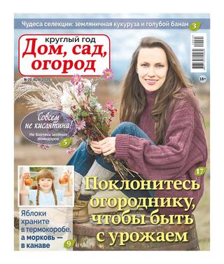 Круглый год: Дом сад огород №20, октябрь 2020