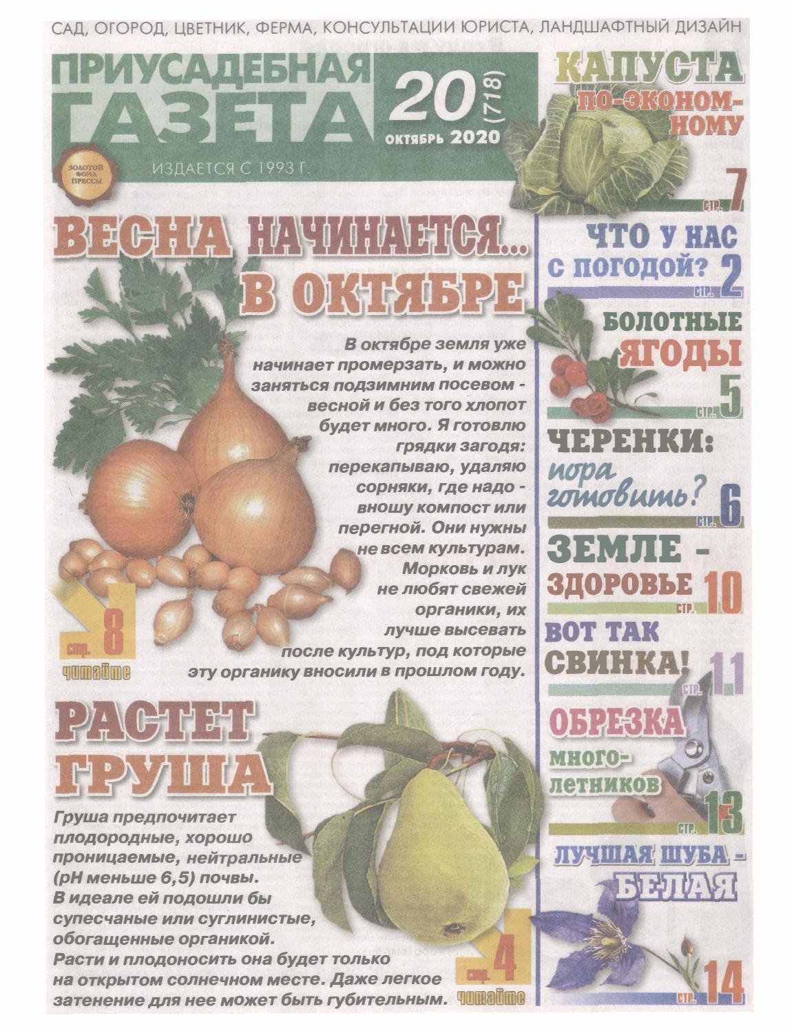 Приусадебная газета №20, октябрь 2020