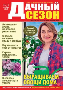 Дачный сезон №11, ноябрь 2020