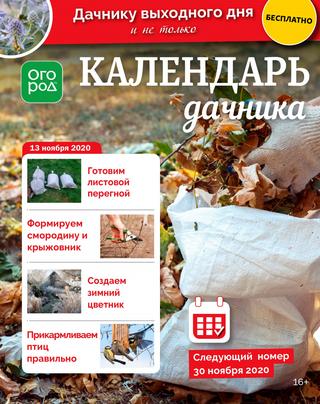 Огород Ру. Календарь дачника №22, ноябрь 2020