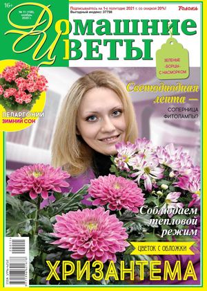 Домашние цветы №11, ноябрь 2020
