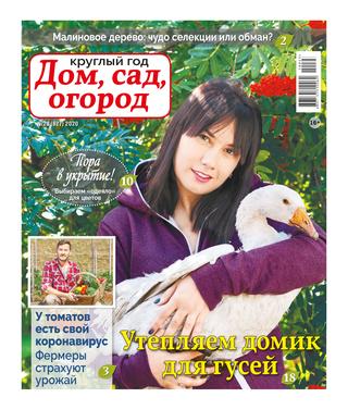 Круглый год: Дом, сад, огород №23, 2020