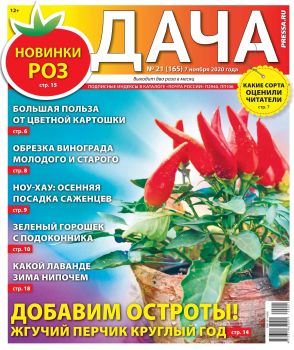 Дача №21, ноябрь 2020