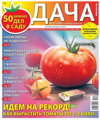 Дача №22, Ноябрь 2020