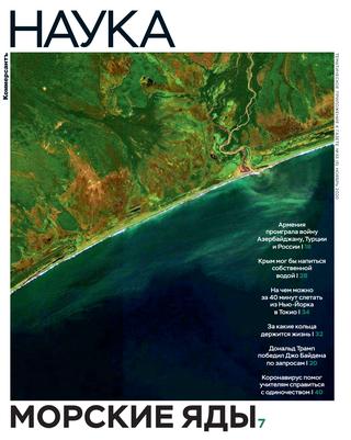 Коммерсантъ. Наука №33, ноябрь 2020