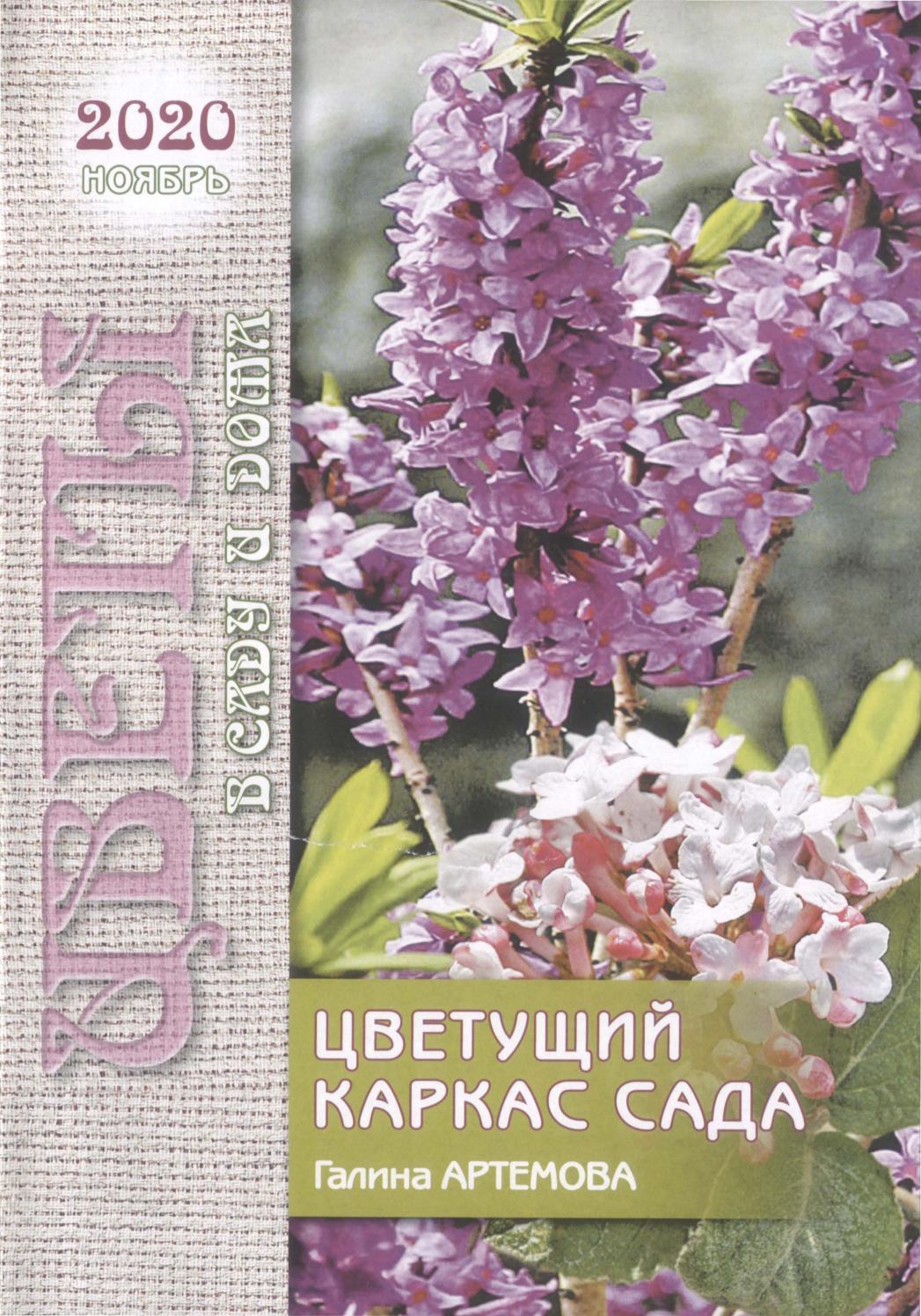 Цветы в саду и дома №11, ноябрь 2020