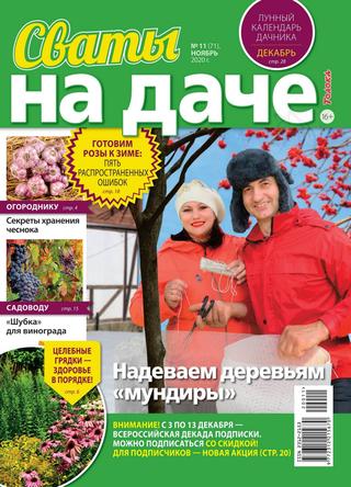 Сваты на даче №11, ноябрь 2020