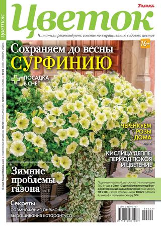 Цветок №22, ноябрь 2020
