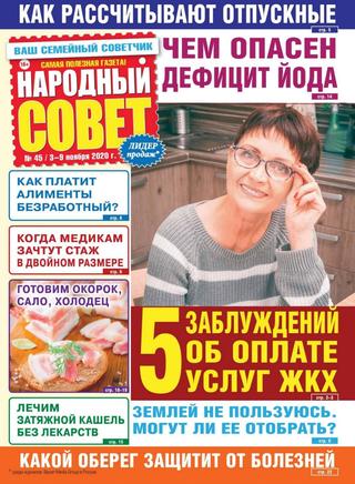 Народный совет №45, ноябрь 2020