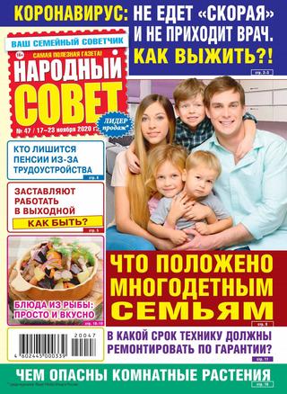 Народный совет №47, ноябрь 2020