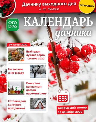 Календарь дачника №23, ноябрь 2020