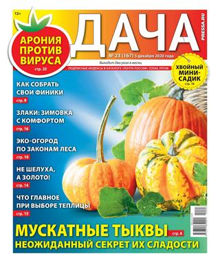 Дача №23, декабрь 2020
