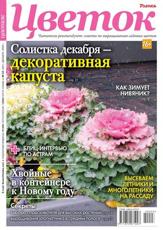 Цветок №23, декабрь 2020