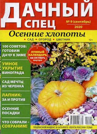 Дачный спец №9, сентябрь 2020