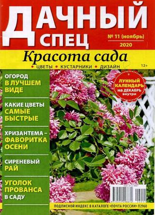Дачный спец №11, ноябрь 2020