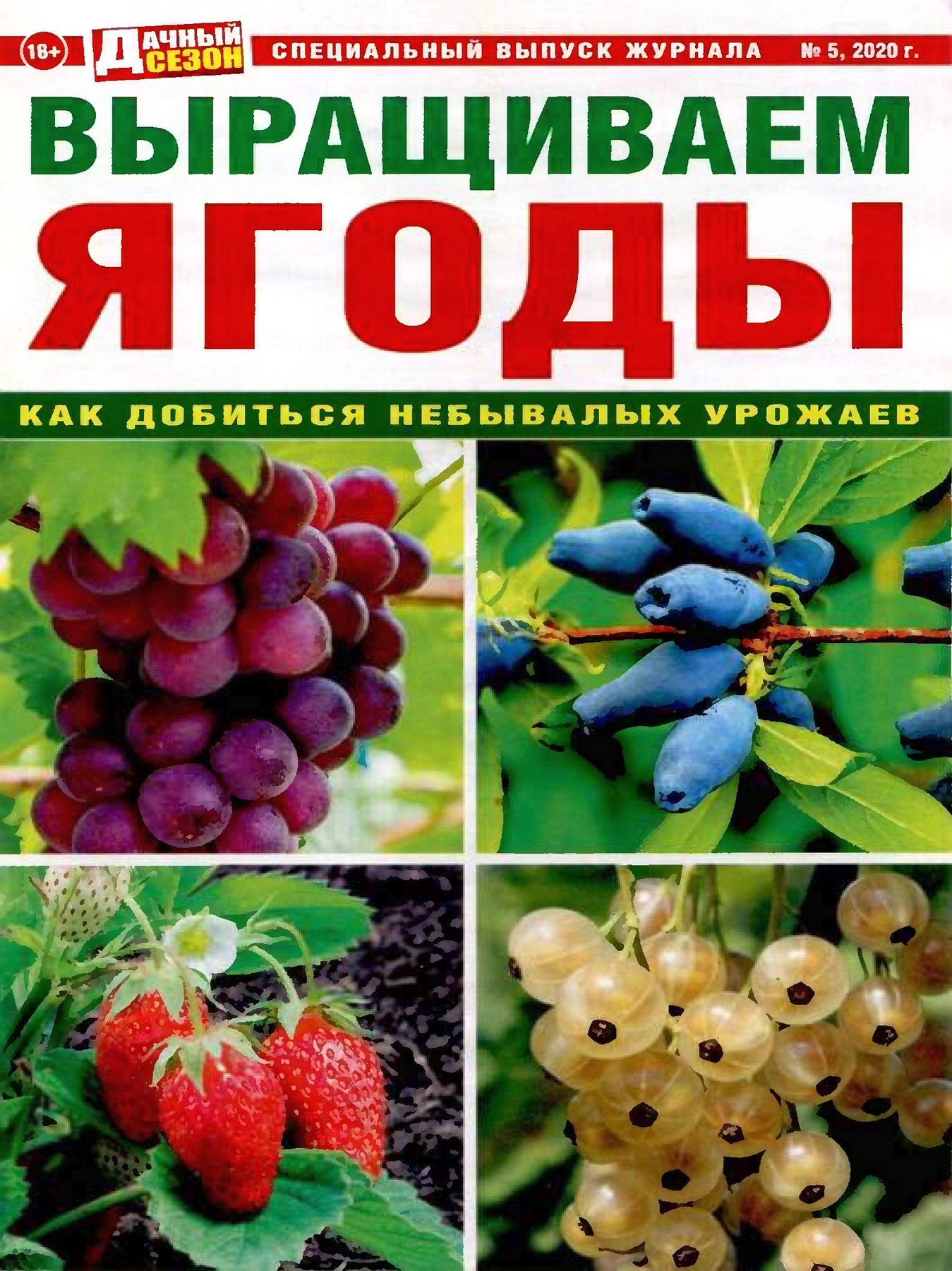 Дачный сезон. Спецвыпуск №5, 2020