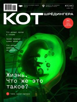 Кот Шредингера №3, ноябрь 2020