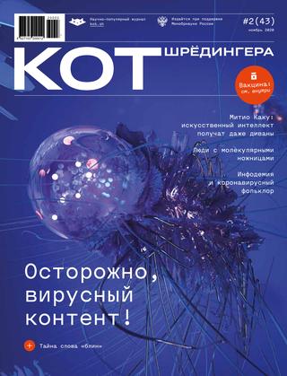 Кот Шредингера №2, ноябрь 2020