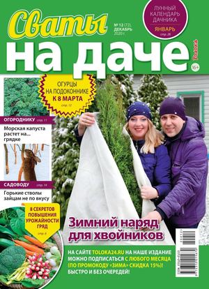 Сваты. На даче №12, декабрь 2020