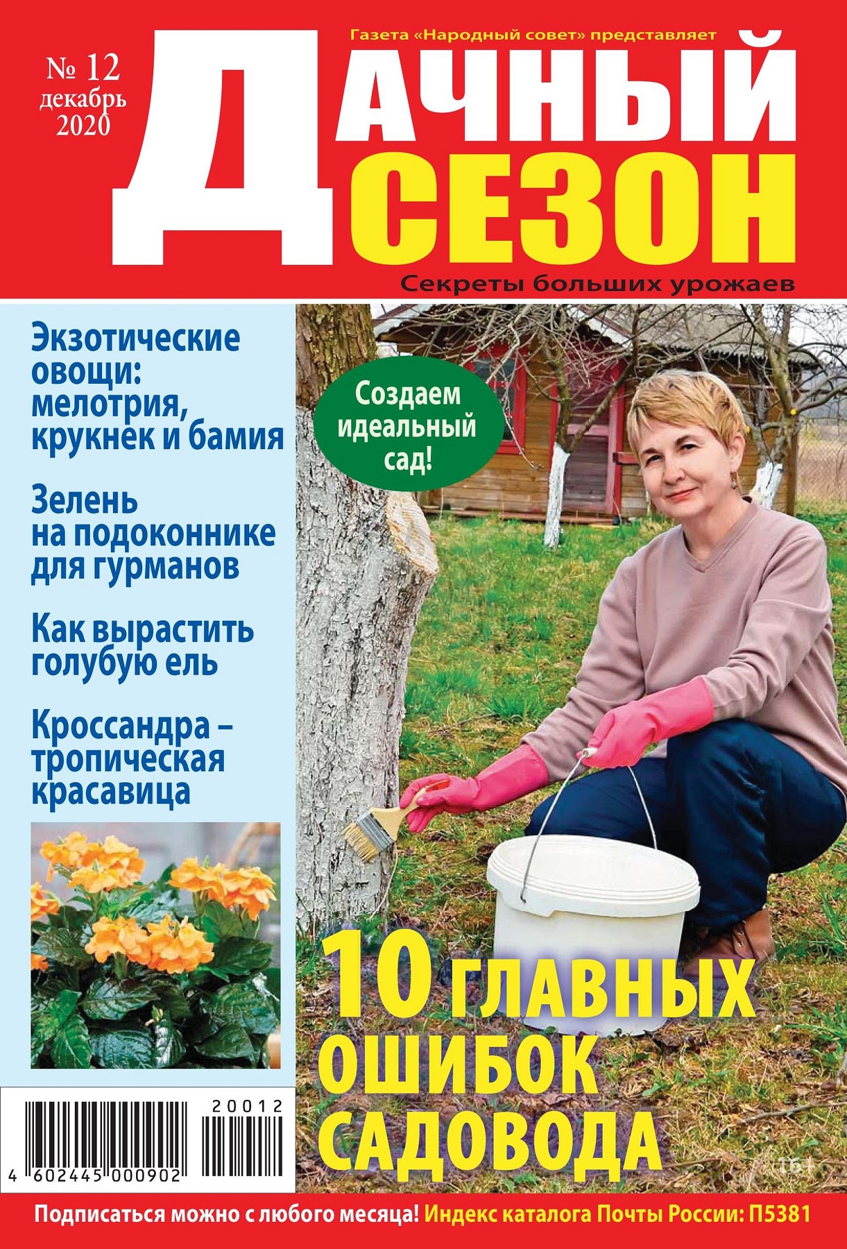 Дачный сезон №12, декабрь 2020