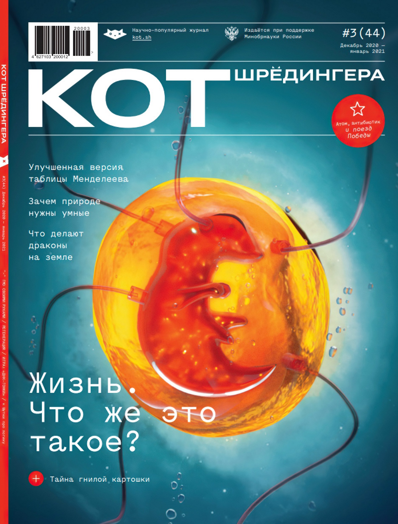 Кот Шредингера №3, декабрь 2020 - январь 2021