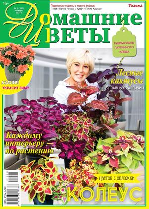 Домашние цветы №1, январь 2021