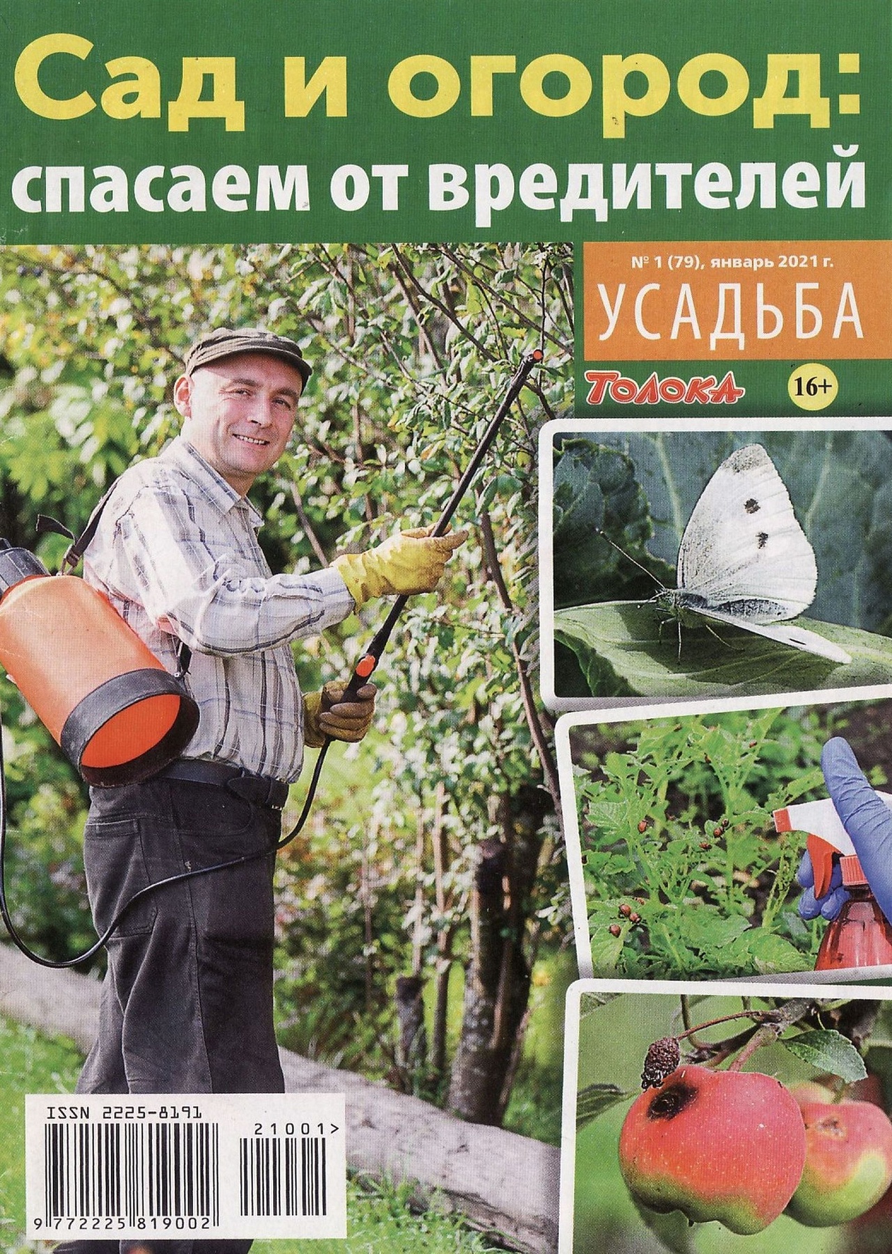 Усадьба №1, январь 2021
