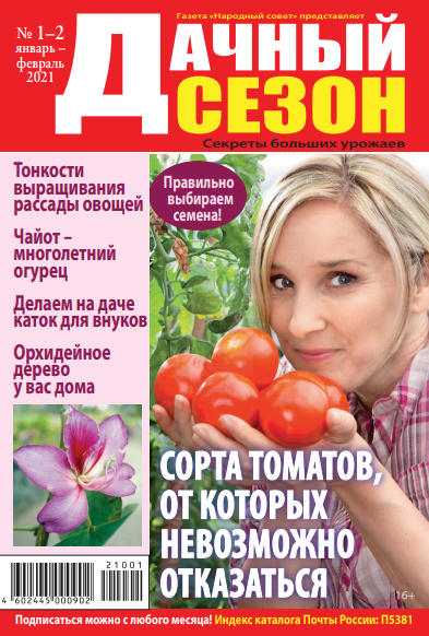 Дачный сезон №1-2, январь - февраль 2021