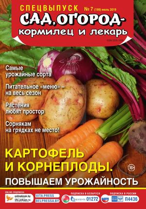 Сад, огород – кормилец и лекарь. Спецвыпуск №7, июль 2019