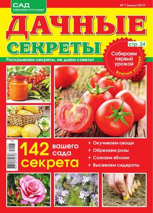 Дачные секреты №7, июль 2019
