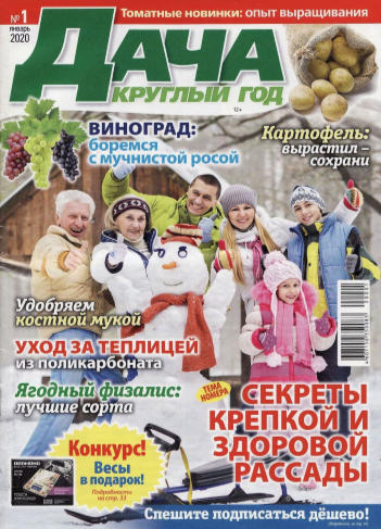 Дача круглый год №1, январь 2020