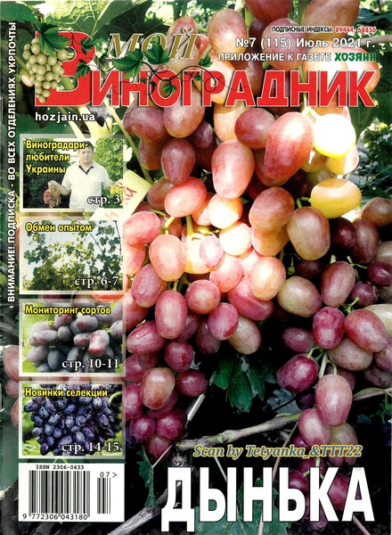 Мой виноградник №7, июль 2021