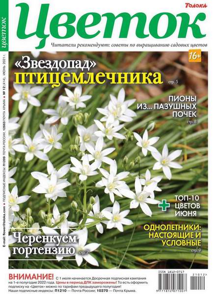 Цветок №12, июнь 2021